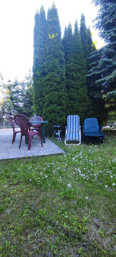 Apartamenty Z Ogrodem Nr 1 Studio Mrągowo Exteriér fotografie